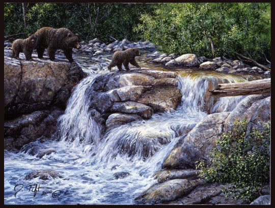 entiat falls bear family