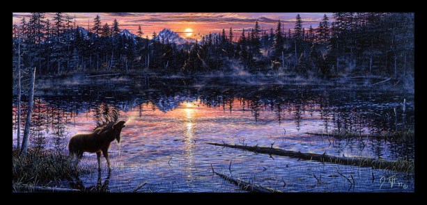 n country moose 22x48
